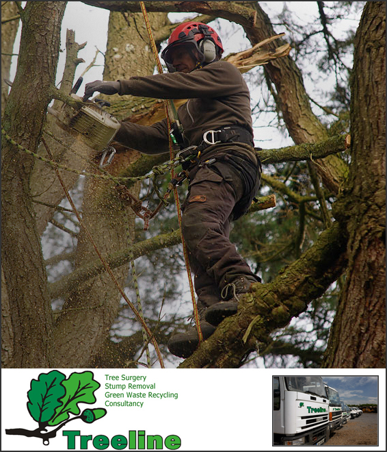 Treeline, tree felling, tree fellers, tree surgery, tree surgeon, Dublin, Kildare, South East, site clearance, stump removal, green waste recycling